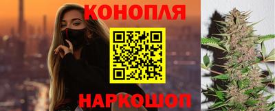 гидропоника Пугачёв