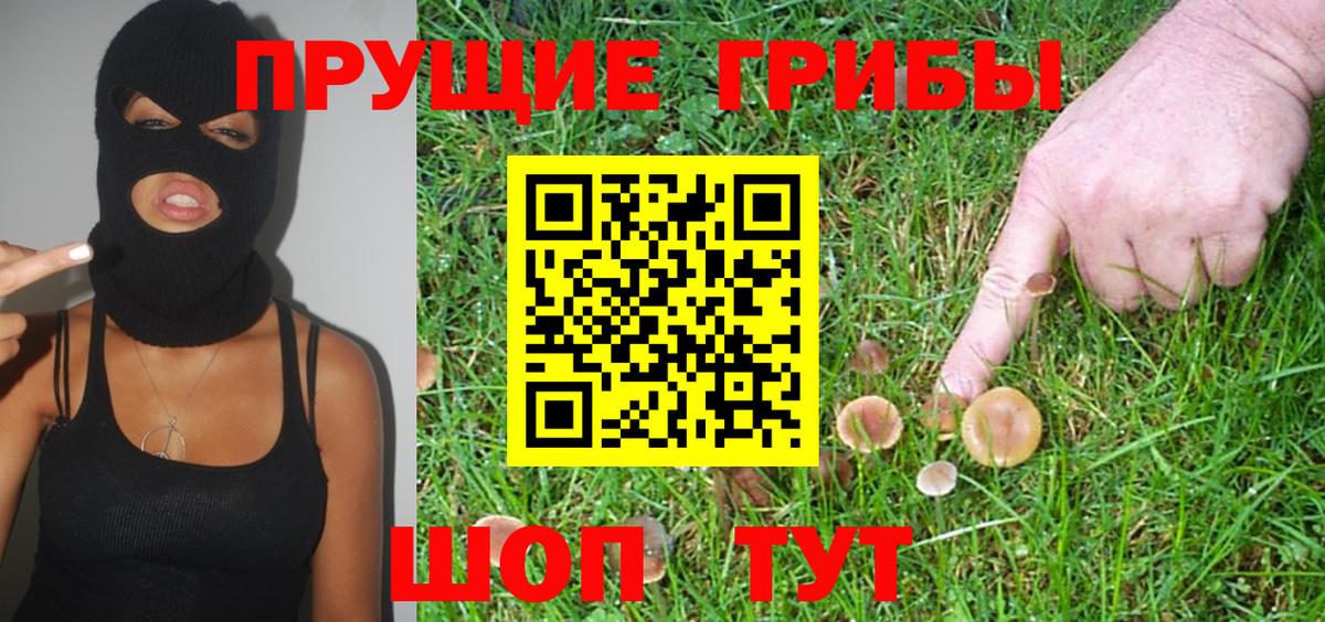 Псилоцибиновые грибы Cubensis Соль-Илецк