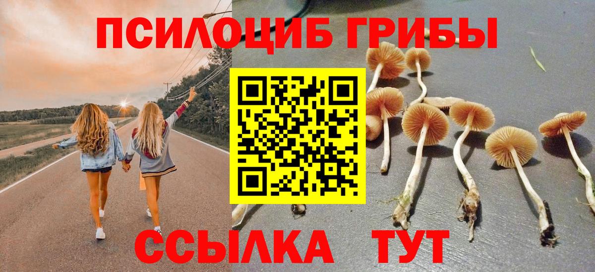 Галлюциногенные грибы Psilocybine cubensis  Вход с VPN  Соль-Илецк 